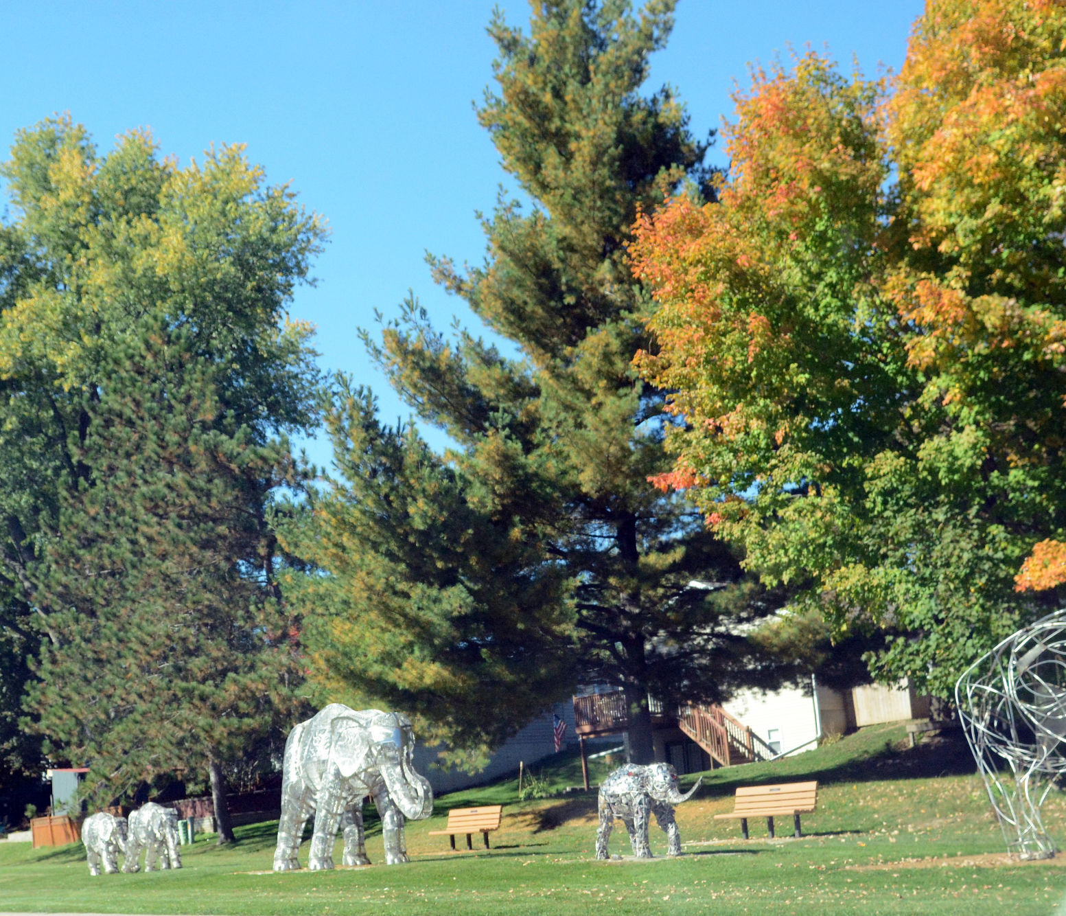 Baraboo area fall color, Oct. 8, 2020